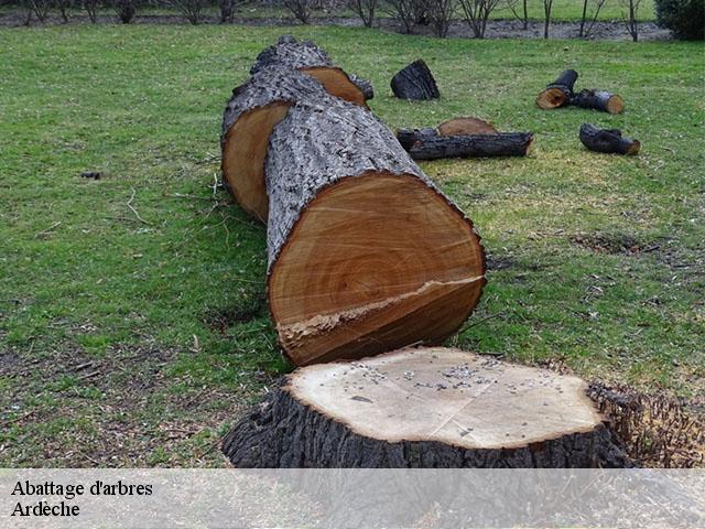Abattage d'arbres Ardèche 