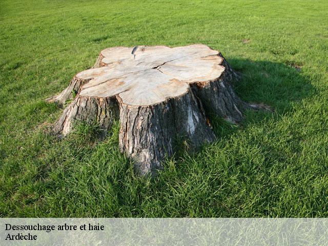 Dessouchage arbre et haie Ardèche 