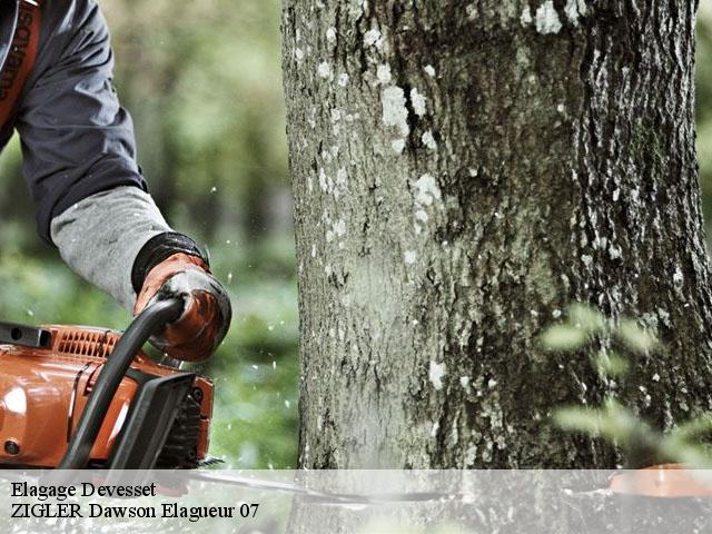 Elagage devesset-07320 ZIGLER Dawson Elagueur 07