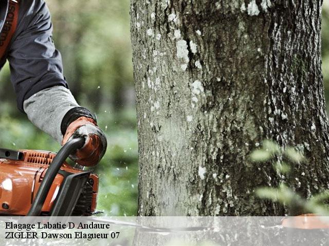 Elagage labatie-d-andaure-07570 ZIGLER Dawson Elagueur 07