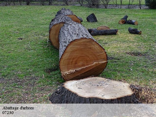 Abattage d'arbres 07230