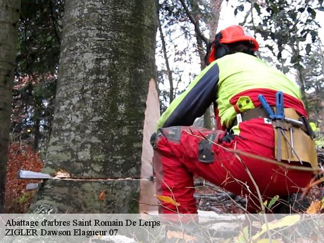 Abattage d'arbres saint-romain-de-lerps-07130 ZIGLER Dawson Elagueur 07