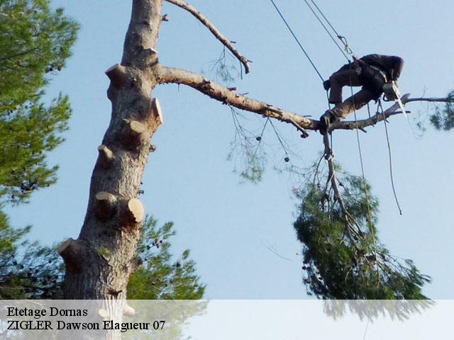 Etetage dornas-07160 ZIGLER Dawson Elagueur 07