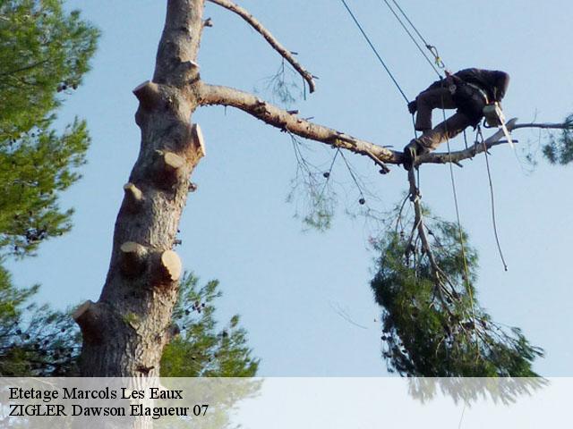 Etetage marcols-les-eaux-07190 ZIGLER Dawson Elagueur 07