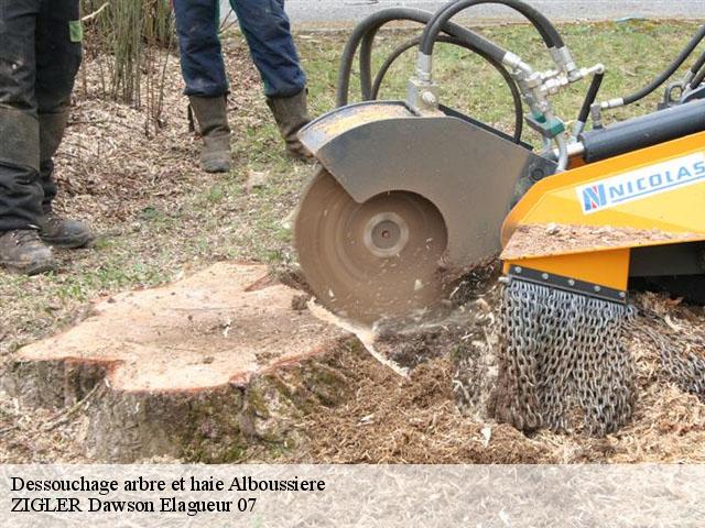 Dessouchage arbre et haie alboussiere-07440 ZIGLER Dawson Elagueur 07