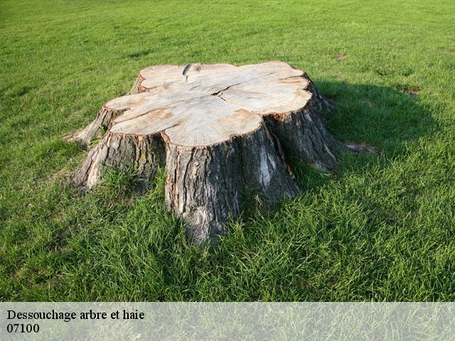 Dessouchage arbre et haie  07100