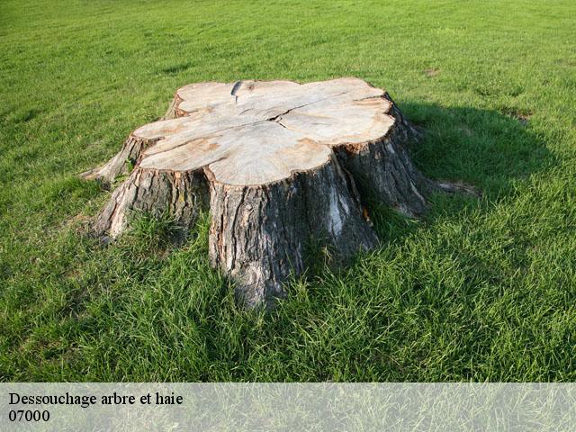 Dessouchage arbre et haie 07000