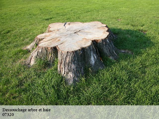 Dessouchage arbre et haie 07320