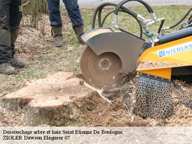 Dessouchage arbre et haie  saint-etienne-de-boulogne-07200 ZIGLER Dawson Elagueur 07