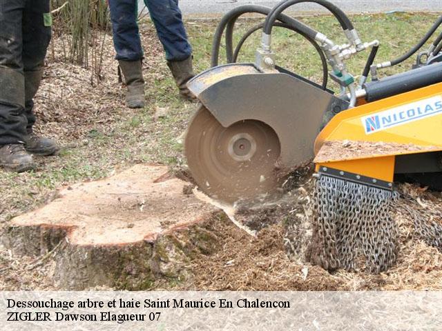 Dessouchage arbre et haie saint-maurice-en-chalencon-07190 ZIGLER Dawson Elagueur 07