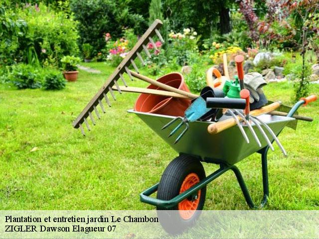 Plantation et entretien jardin  le-chambon-07160 ZIGLER Dawson Elagueur 07