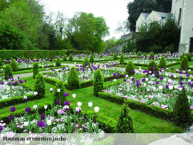 Plantation et entretien jardin