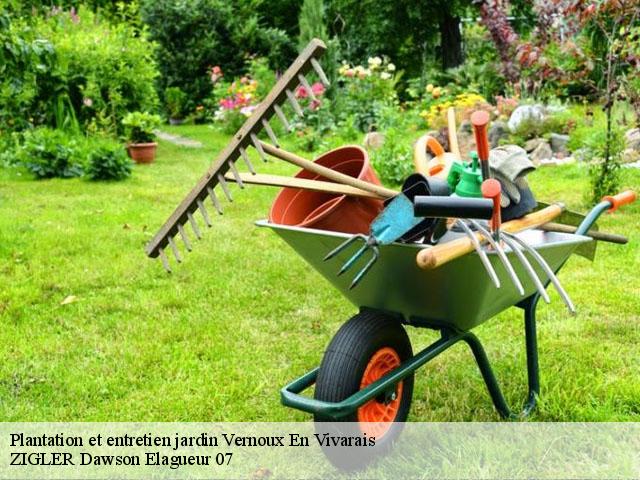 Plantation et entretien jardin  vernoux-en-vivarais-07240 ZIGLER Dawson Elagueur 07