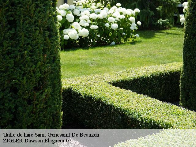 Taille de haie  saint-genesaint-de-beauzon-07230 ZIGLER Dawson Elagueur 07