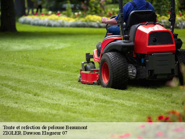 Tonte et refection de pelouse  beaumont-07110 ZIGLER Dawson Elagueur 07