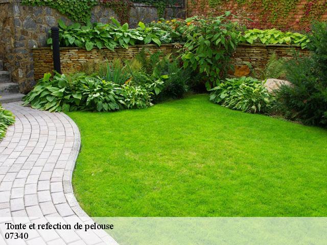 Tonte et refection de pelouse 07340