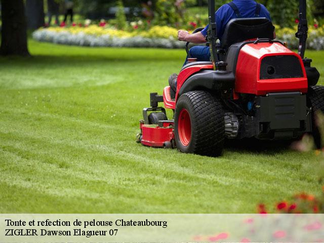 Tonte et refection de pelouse  chateaubourg-07130 ZIGLER Dawson Elagueur 07