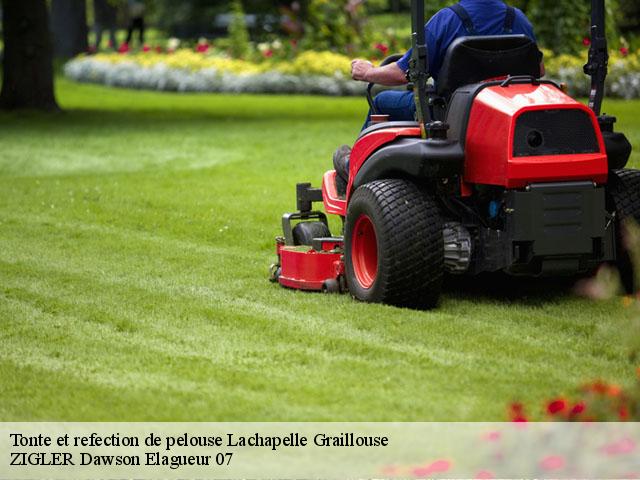 Tonte et refection de pelouse  lachapelle-graillouse-07470 ZIGLER Dawson Elagueur 07