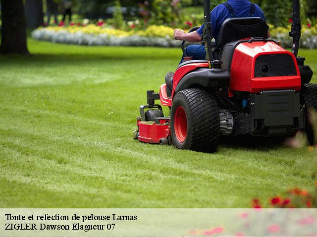 Tonte et refection de pelouse larnas-07220 ZIGLER Dawson Elagueur 07