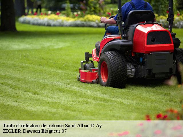 Tonte et refection de pelouse  saint-alban-d-ay-07790 ZIGLER Dawson Elagueur 07