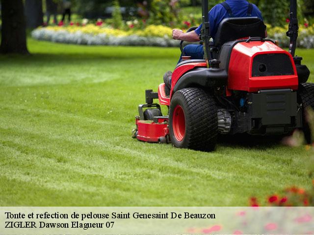 Tonte et refection de pelouse saint-genesaint-de-beauzon-07230 ZIGLER Dawson Elagueur 07