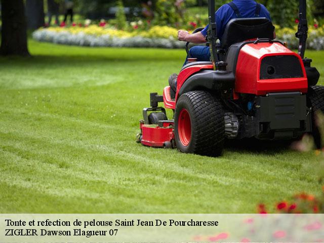 Tonte et refection de pelouse  saint-jean-de-pourcharesse-07140 ZIGLER Dawson Elagueur 07